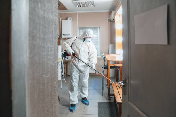Best Mold Removal for HVAC Installations  in Belle Fourche, SD