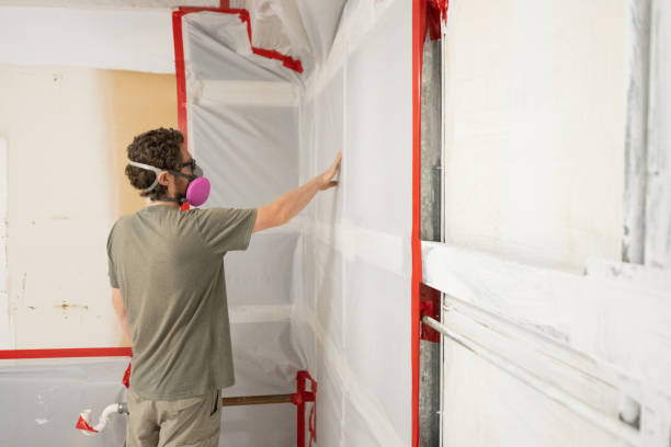 Best Crawl Space Mold Remediation  in Belle Fourche, SD