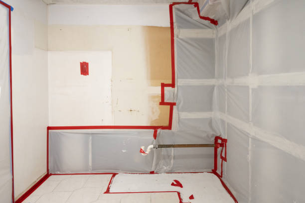 Best Mold Odor Removal Services  in Belle Fourche, SD