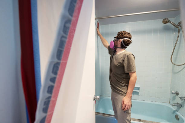 Best Mold Damage Restoration  in Belle Fourche, SD