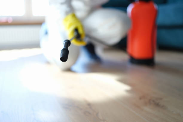 Reliable Belle Fourche, SD Mold Removal Solutions