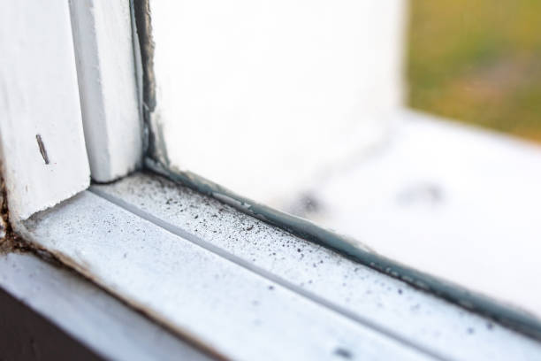 Best HVAC Mold Inspection and Cleaning  in Belle Fourche, SD