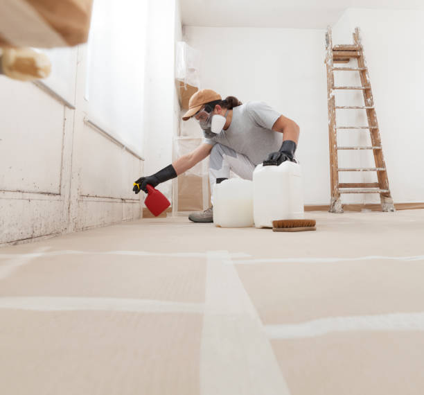 Best Emergency Mold Remediation  in Belle Fourche, SD