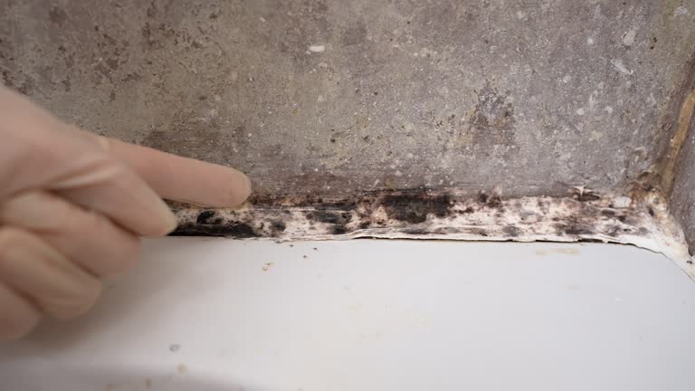 Best Residential Mold Inspection & Testing  in Belle Fourche, SD